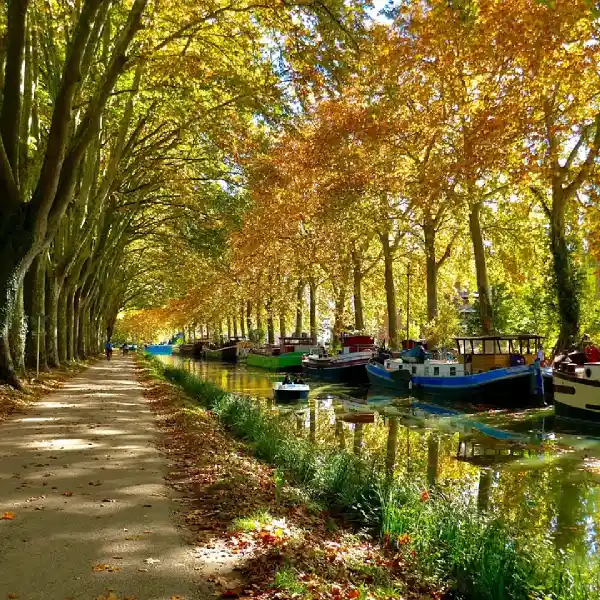 Reseau-MFR-Haute-Garonne